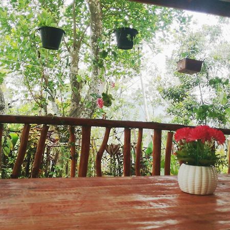 Deneth Homestay Ella Buitenkant foto