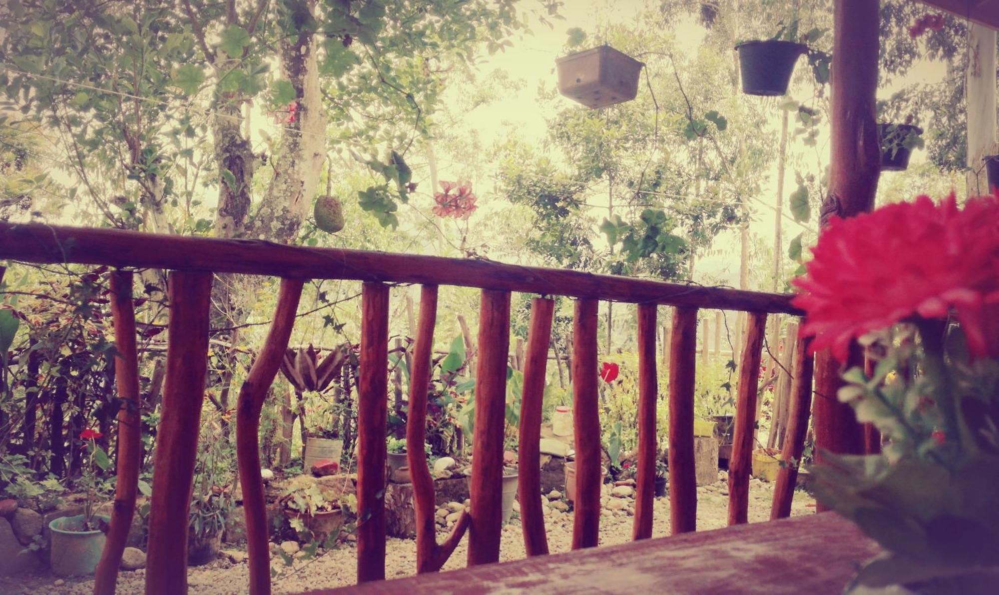 Deneth Homestay Ella Buitenkant foto